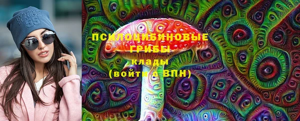 стаф Балахна