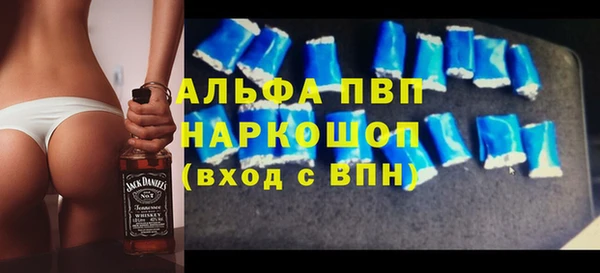 прущие грибы Баксан