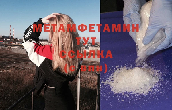 прущие грибы Балабаново