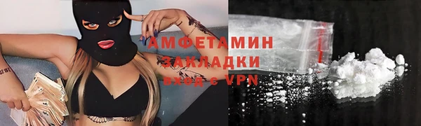 прущие грибы Баксан