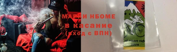 прущие грибы Баксан