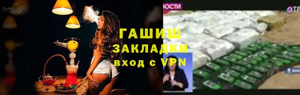 прущие грибы Балабаново