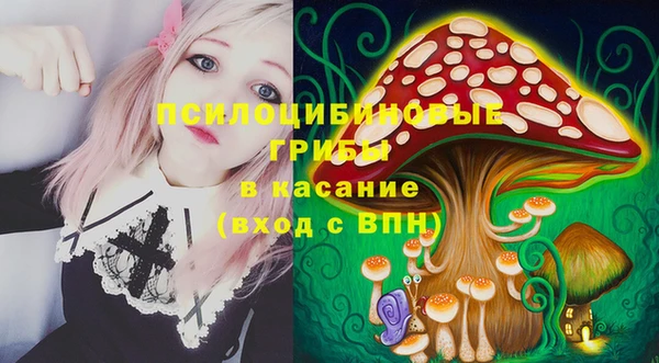 прущие грибы Баксан