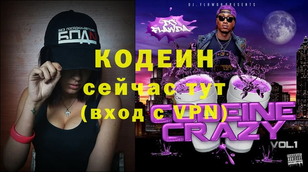 прущие грибы Балабаново