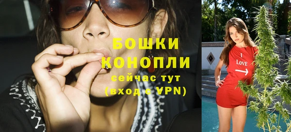 прущие грибы Балабаново