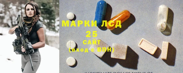 прущие грибы Баксан