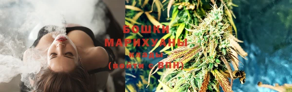 прущие грибы Баксан